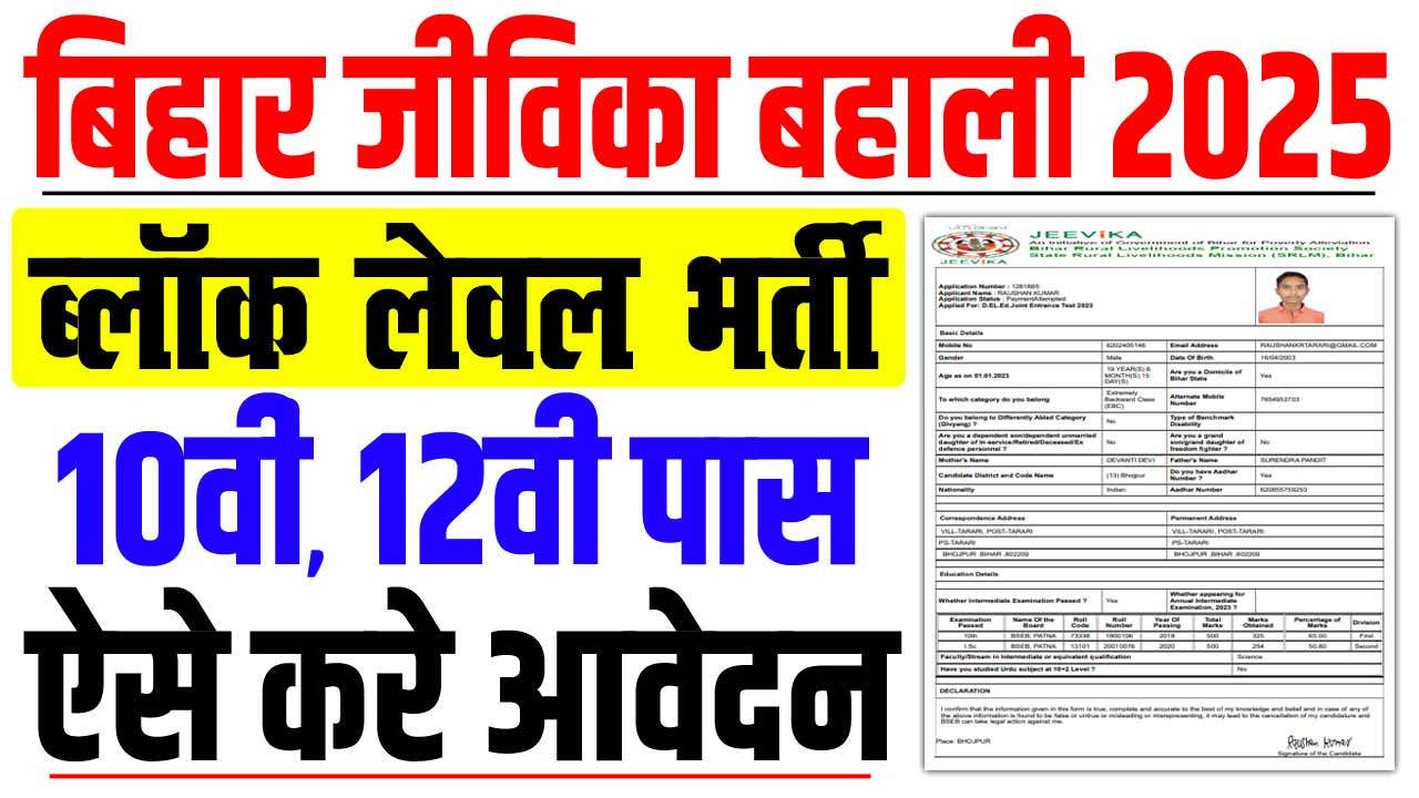 Bihar jeevika block level vacancy 2025