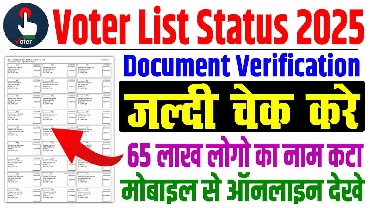 Voter Document Verification Status Check